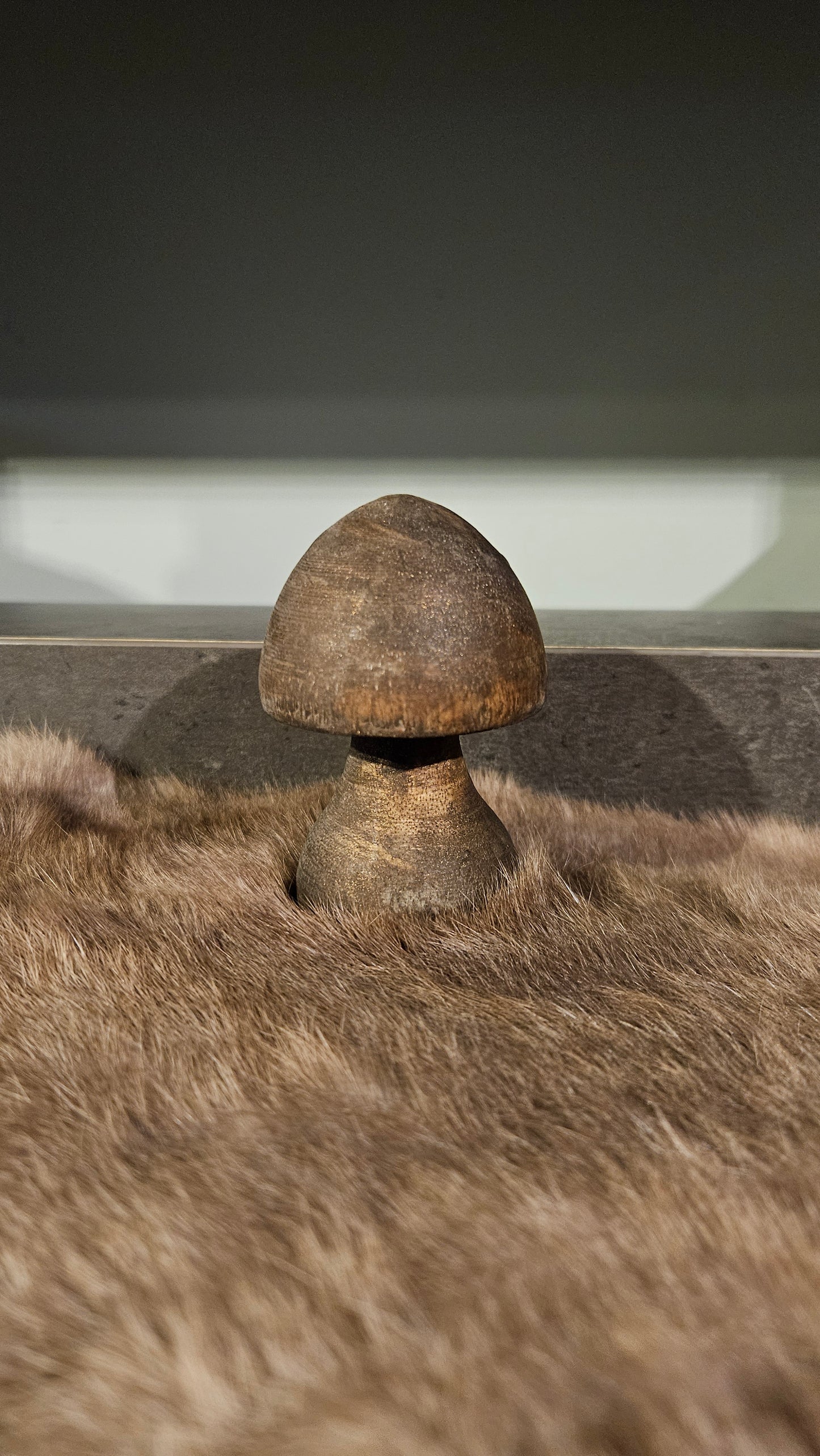 Houten Paddenstoelen 2