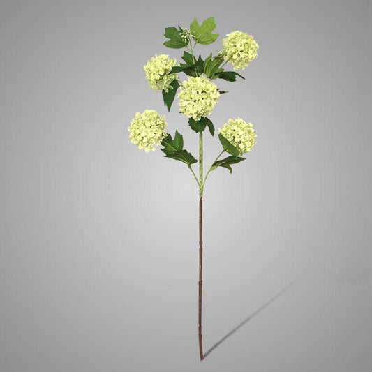 Brynxz Viburnum Light Green - O zo sfeervol