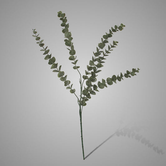 Brynxz Eucalyptus Stem Grey Green