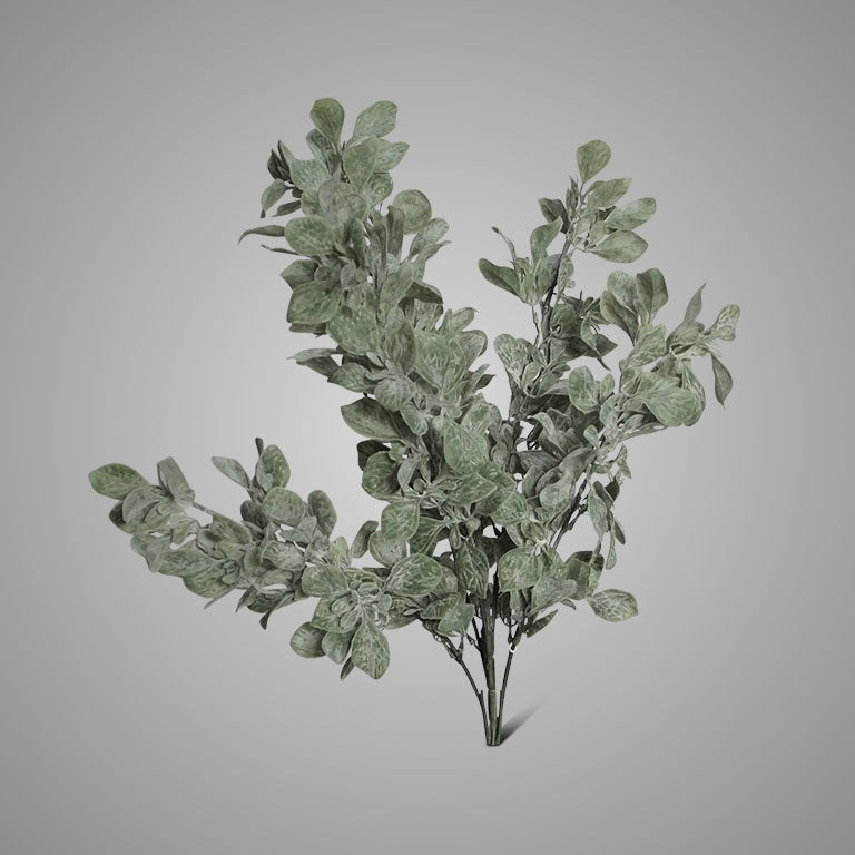Brynxz Leaf bush Grande Grey